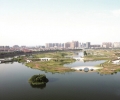 绿海明珠 掀起湿地公园建设热潮