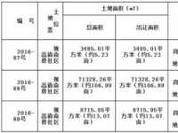 仁寿县2016-87、88、89号国有建设用地使用权挂牌