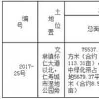 仁寿县25号国有建设用地使用权拍卖出让